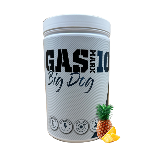 GASMARK10 Big Dog